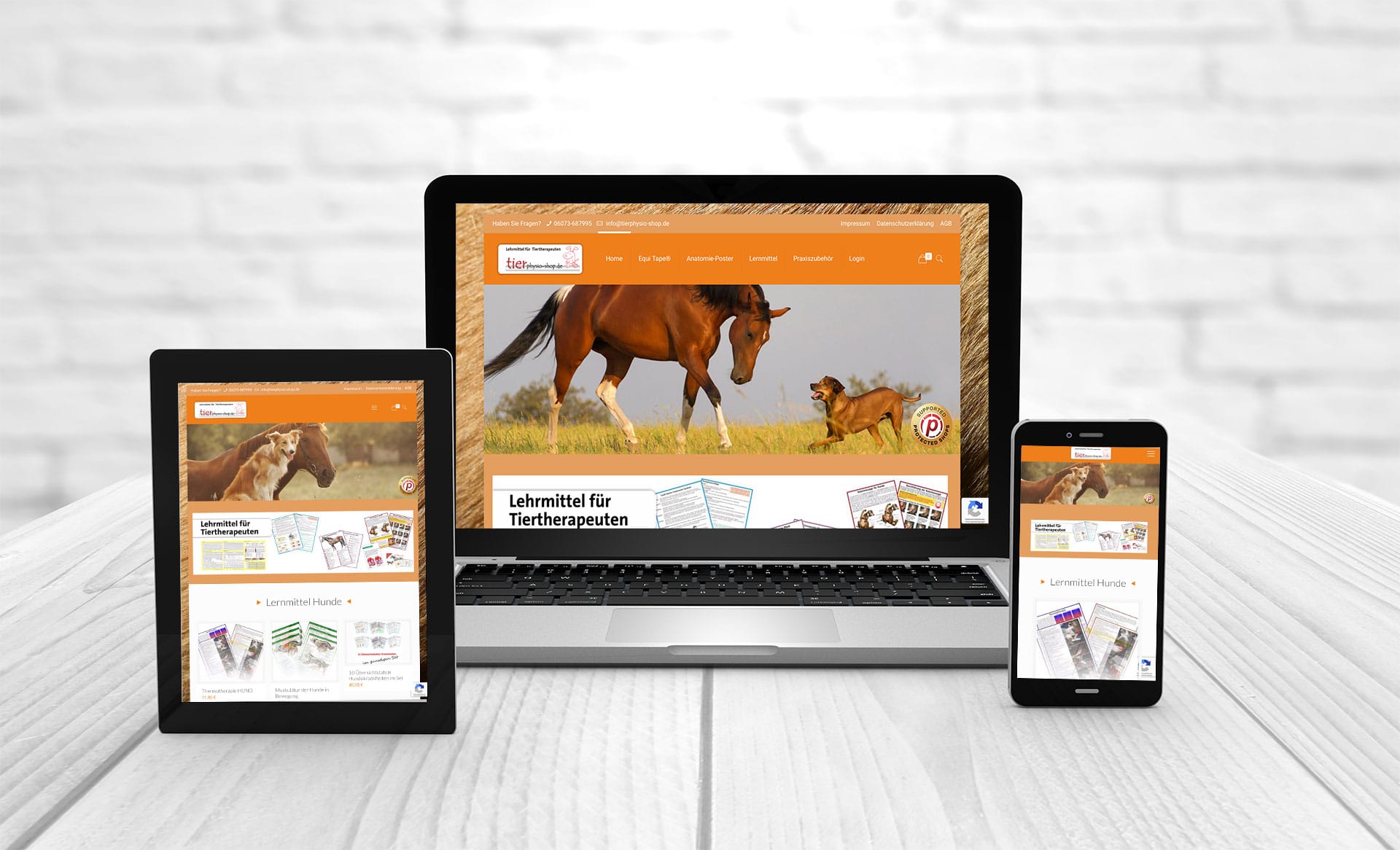 Professional web design, references Tierphysio-Shop