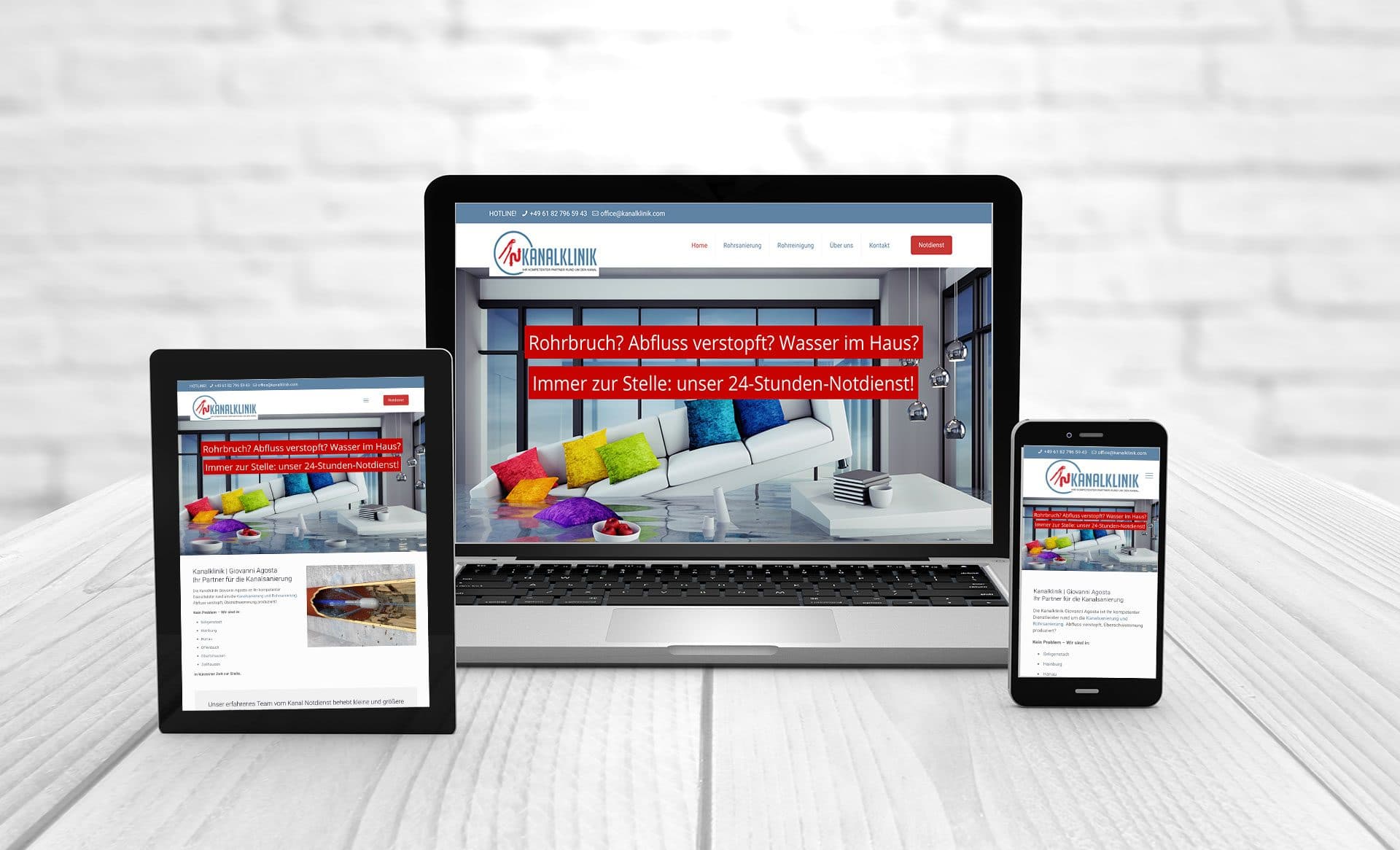 Professional web design, references sewer clinic sewer emergency service
