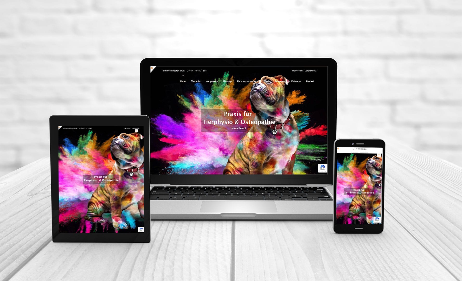 Professional web design, references horse osteopathy