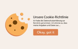 Instructions for using the Borlabs Cookie Plugin in WordPress
